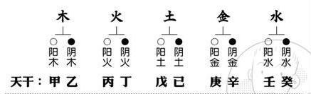 10天干.jpg