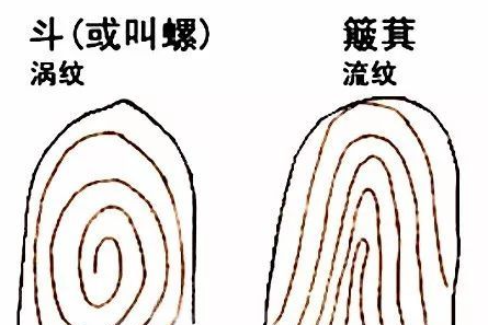 斗和簸箕