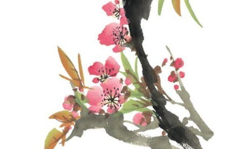 辰月生人